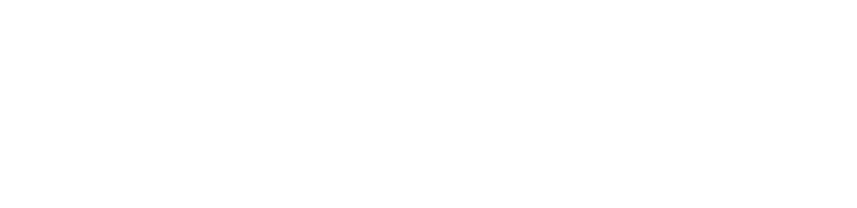 Compagni di viaggi
