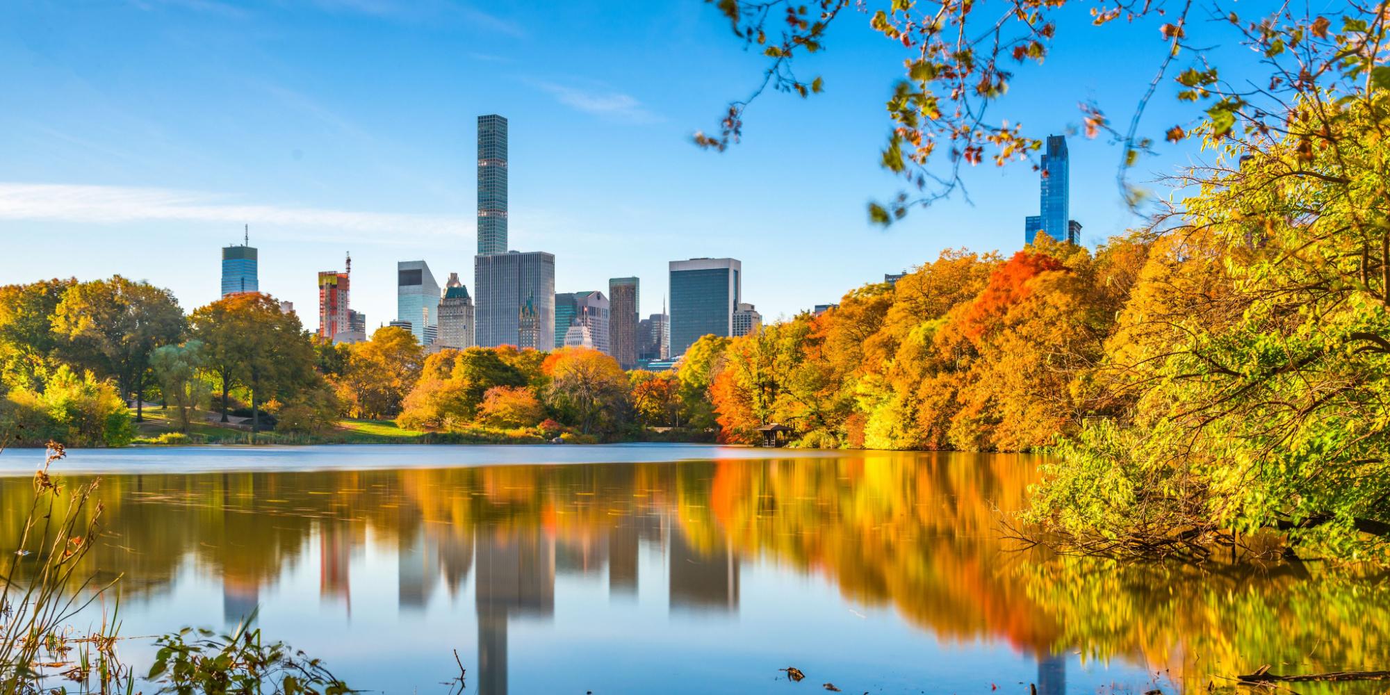 New York a Novembre: Quartieri e Caffè